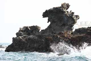 photo,material,free,landscape,picture,stock photo,Creative Commons,Dragon Head Rock (Yongduam), Dragon Head Rock, Yongduam, rocky, shore