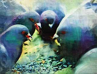 Illust, materieel, vrij, landschap, schilderstuk, schilderstuk, kleuren potlood, crayon, werkje,De kwestie van de huiselijke duif, Dove, , , Kwestie