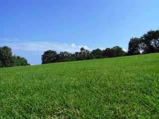 Foto, materiell, befreit, Landschaft, Bild, hat Foto auf Lager,Wiese in einem feinen Herbsttag, Rasen, blauer Himmel, Baum, 