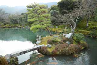 photo, la matire, libre, amnage, dcrivez, photo de la rserve,Tenryu-ji jardinent, Chaitya, tang, patrimoine de l'humanit, Sagano