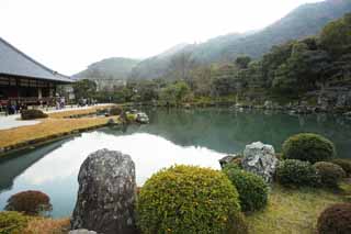 photo,material,free,landscape,picture,stock photo,Creative Commons,Tenryu-ji garden, Chaitya, pond, world heritage, Sagano