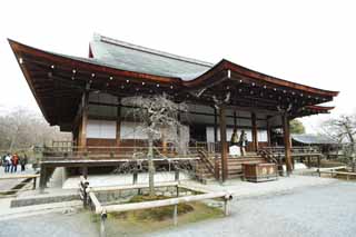 photo,material,free,landscape,picture,stock photo,Creative Commons,Tenryu-ji Taho-nyorai, Chaitya, drooping cherry tree, world heritage, Sagano