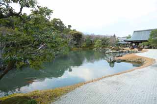 photo,material,free,landscape,picture,stock photo,Creative Commons,Tenryu-ji garden, Chaitya, pond, world heritage, Sagano