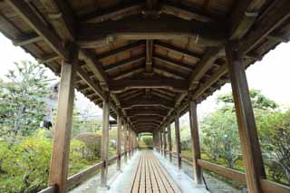 photo,material,free,landscape,picture,stock photo,Creative Commons,Tenryu-ji roofed passage connecting buildings, Chaitya, room with a wooden floor, world heritage, Sagano