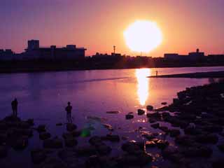 photo,material,free,landscape,picture,stock photo,Creative Commons,Setting sun of the Tama River, sunset, river, , 