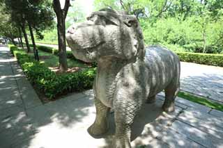 photo,material,free,landscape,picture,stock photo,Creative Commons,A Ming Xiaoling Mausoleum stone statue road, Remains, stone statue, An approach to a shrine, stone animal