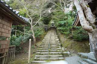 photo,material,free,landscape,picture,stock photo,Creative Commons,House of Buddha and Amitabha stone stairway, Moss, Piling-stones, stone stairway, Buddhism