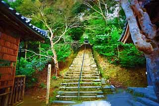 illustration,material,free,landscape,picture,painting,color pencil,crayon,drawing,House of Buddha and Amitabha stone stairway, Moss, Piling-stones, stone stairway, Buddhism