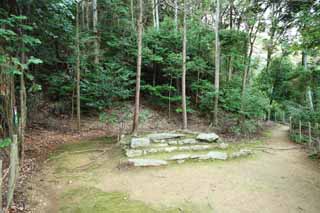 Foto, materieel, vrij, landschap, schilderstuk, bevoorraden foto,Huis van De boeddha en Amitabha herfst stortbad bower spoor, Mos, De grondbeginselen, De ravages, Traditionele Japanse speelkaart