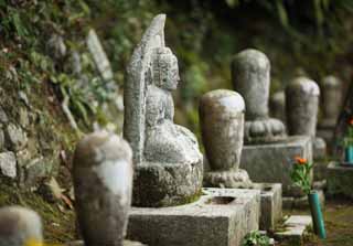 photo,material,free,landscape,picture,stock photo,Creative Commons,House of Buddha and Amitabha gravestone, Moss, stone statue, gravestone, Buddhism