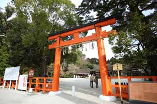 fotografia, materiale, libero il panorama, dipinga, fotografia di scorta,Due toriis di Sacrario di Kamigamo, torii, Festone di paglia scintoista, Prevenzione contro cattivo, L'imperatore