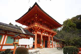 photo,material,free,landscape,picture,stock photo,Creative Commons,Kamigamo Shrine tower gate, I am painted in red, God, world heritage, The Emperor