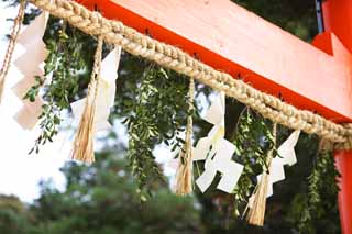 fotografia, material, livra, ajardine, imagine, proveja fotografia,Dois Kamigamo Santurio toriis, torii, Xintosmo palha festo, Preveno contra mal, O imperador