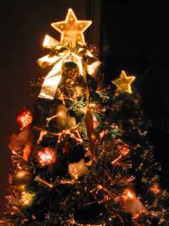 ʐ^,f,,t[,tHg,NGCeBuERY,i,ǎ,Mid Night X'mas Tree, NX}X, , , 