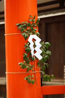 photo,material,free,landscape,picture,stock photo,Creative Commons,Shimogamo Shrine company torii, I am painted in red, garden lantern, God, world heritage