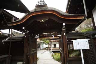 photo,material,free,landscape,picture,stock photo,Creative Commons,Shimogamo Shrine company Chinese-style gate, Hollyhock mon, Lobster chasuble, , myth