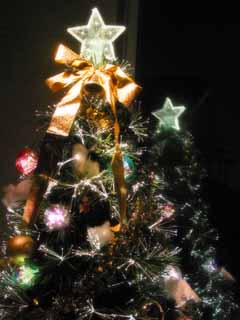 ʐ^,f,,t[,tHg,NGCeBuERY,i,ǎ,Mid Night X'mas Tree 2, NX}X, , , 