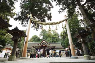 photo,material,free,landscape,picture,stock photo,Creative Commons,Omiwa shrine main shrine, Shinto, Prevention against evil, Precincts, Worship