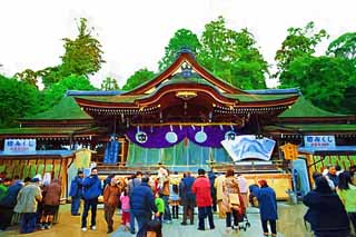 illustration,material,free,landscape,picture,painting,color pencil,crayon,drawing,Omiwa shrine main shrine, Shinto, Prevention against evil, Precincts, Worship