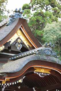 photo,material,free,landscape,picture,stock photo,Creative Commons,Omiwa shrine main shrine, Shinto, Prevention against evil, Precincts, Worship