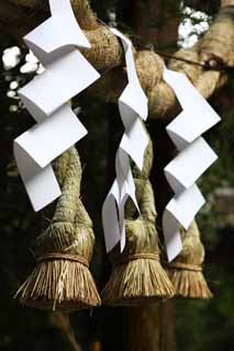 photo,material,free,landscape,picture,stock photo,Creative Commons,Omiwa shrine Shinto straw festoon, Shinto, Shinto straw festoon, Precincts, paper appendix