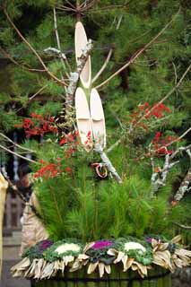 fotografia, material, livra, ajardine, imagine, proveja fotografia,Xintosmo santurio Ano novo trs-que tem rodas pneo e decoraes de bambu, Ano novo decoraes pneas, deus que controla um ano zodiacal, objeto esprito-morando, Repolho ornamental