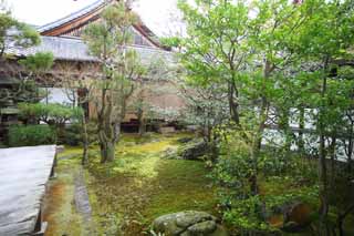 foto,tela,gratis,paisaje,fotografa,idea,Jardn de Temple de Ninna - ji, Jardn, Moss, El Palacio Imperial de casa del aristcrata viejo, La familia imperial