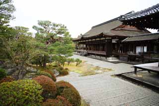 photo,material,free,landscape,picture,stock photo,Creative Commons,Ninna-ji Temple north garden, Five Storeyed Pagoda, I am Japanese-style, pond, style of Japanese garden with a pond in the center garden