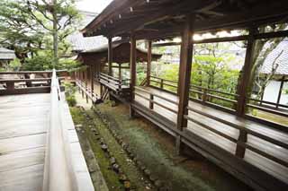fotografia, material, livra, ajardine, imagine, proveja fotografia,Ninna-ji Templo alma Akira, passagem, edifcio de madeira, corrimo, Adorao