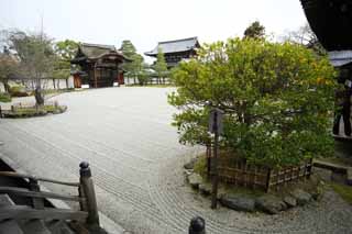 fotografia, materiale, libero il panorama, dipinga, fotografia di scorta,Tempio di Ninna-ji recinto anteriore del Hall per cerimonie statali, giardino, Sabbia, controlli per messaggeri Imperiali, panorama asciutto giardino giapponese