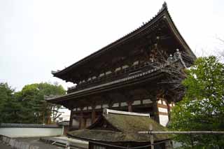 Foto, materieel, vrij, landschap, schilderstuk, bevoorraden foto,De Ninna-ji Temple Nio beschermer godheid poort, Deva poort, Geval verschijning bemoederen van een huis, Japanse bouwstijl, Wijdvermaarde tempel met een eerbare geschiedenis