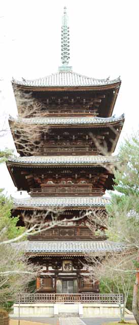 photo,material,free,landscape,picture,stock photo,Creative Commons,Ninna-ji Temple Five Storeyed Pagoda, ridge-end tile, Sanskrit characters, Chaitya, world heritage