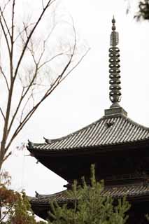 fotografia, materiale, libero il panorama, dipinga, fotografia di scorta,Tempio di Ninna-ji cinque pagoda di Storeyed, graticcio, Caratteri Sanscriti, Chaitya, eredit di mondo