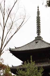 Foto, materieel, vrij, landschap, schilderstuk, bevoorraden foto,Ninna-ji Temple Five Storeyed Pagoda, Latwerk, Sanskriet karakters, Chaitya, Wereld heritage