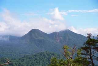 foto,tela,gratis,paisaje,fotografa,idea,Montaa azulada., Montaa, Cielo azul, rbol, 