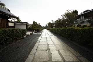 Foto, materiell, befreit, Landschaft, Bild, hat Foto auf Lager,Myoshin-ji Temple nhert sich zu einem Schrein, steinigen Sie Brgersteig, Bei Dunkelheit, Chaitya, Tempelbesitzstck zur Zensekte