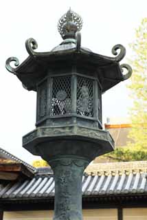 fotografia, material, livra, ajardine, imagine, proveja fotografia,Myoshin-ji Templo jardim lanterna, drago, , O papa de jardim de flor, templo que pertence  seita de Zen