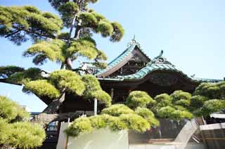 Foto, materiell, befreit, Landschaft, Bild, hat Foto auf Lager,Shibamata Taishaku-zehn Tempel, Fall bemuttert Aussehen von einem Hausziegel-Material zum Dachdecken, Neujahr besucht zu einem schintoistischen Schrein, Verehrer, Geldgabe