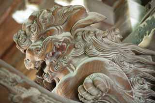 photo,material,free,landscape,picture,stock photo,Creative Commons,Shibamata Taishaku-ten Temple sculpture, lion, sculpture, grain of wood, Buddhism