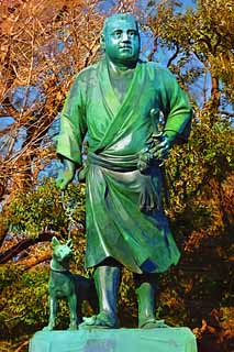 illust, , , , , ,  ,  , .,Saigo Ueno, Satsuma , yukata ,   , Satsuma feudal clan