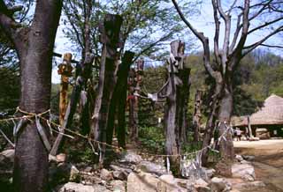 fotografia, materiale, libero il panorama, dipinga, fotografia di scorta,Polo di totem coreano, tradizione, albero, , 