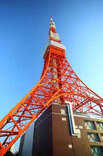 photo, la matire, libre, amnage, dcrivez, photo de la rserve,Tour de Tokyo, collection tour de la vague lectrique, Rouge et blanc, Une antenne, Un observatoire