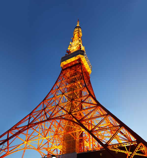 foto,tela,gratis,paisaje,fotografa,idea,Tokyo Tower, Coleccin torre de ola elctrica, Lo enciendo, Una antena, Un observatorio