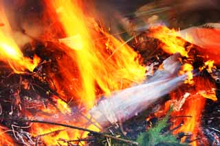 foto,tela,gratis,paisaje,fotografa,idea,Lo horneo en las cantidades grandes, Llama, Destruccin por el fuego, Fiesta de fuego, Dios que controla un ao de zodiacal