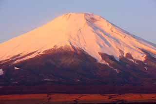 photo,material,free,landscape,picture,stock photo,Creative Commons,Red Fuji, Fujiyama, The snowy mountains, surface of a lake, The morning glow