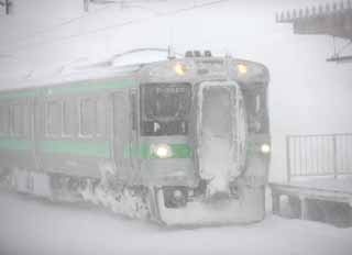 foto,tela,gratis,paisaje,fotografa,idea,La amenaza de la tormenta de nieve, Hace fro, Estoy fro, Tormenta de nieve, Nevada fuerte