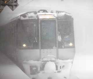 fotografia, materiale, libero il panorama, dipinga, fotografia di scorta,La minaccia della tempesta di neve, Ha freddo, Io ho freddo, tempesta di neve, Nevicata pesante