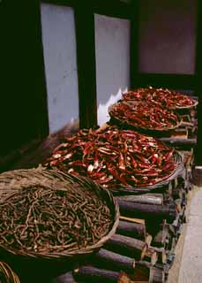 fotografia, materiale, libero il panorama, dipinga, fotografia di scorta,Pepi rossi e caldi, pepe di peperoncino rosso, , , 