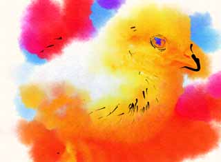 illust, matire, libre, paysage, image, le tableau, crayon de la couleur, colorie, en tirant,Un poussin, poussin, coq, , Je suis jeune