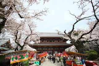 photo, la matire, libre, amnage, dcrivez, photo de la rserve,Ikegami sont devant le temple de porte porte Deva, Takashi Nichiren, Chaitya, Mikado, Apparence de la mre du cas d'une maison